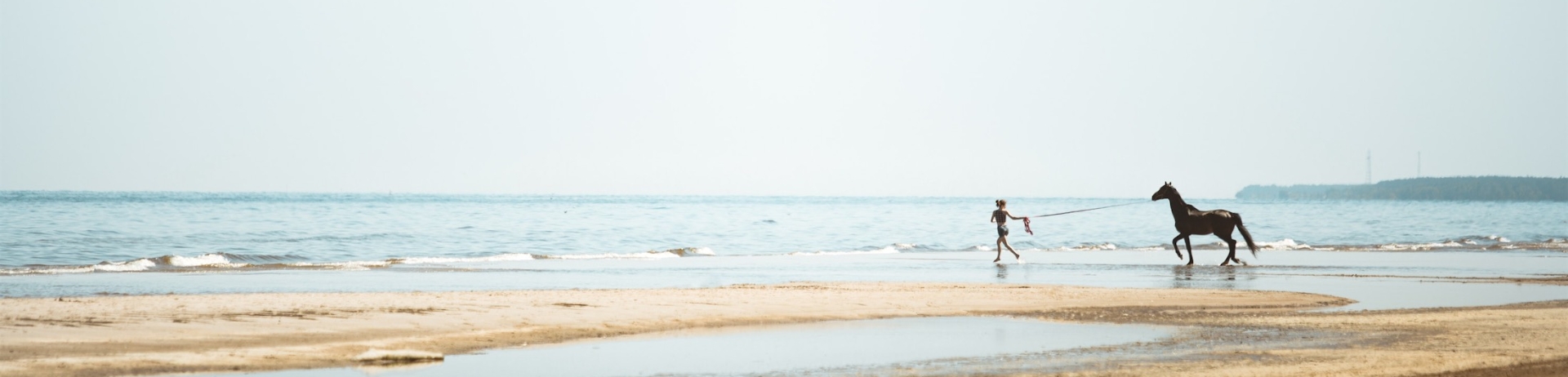 woman guiding a horse on the beach
