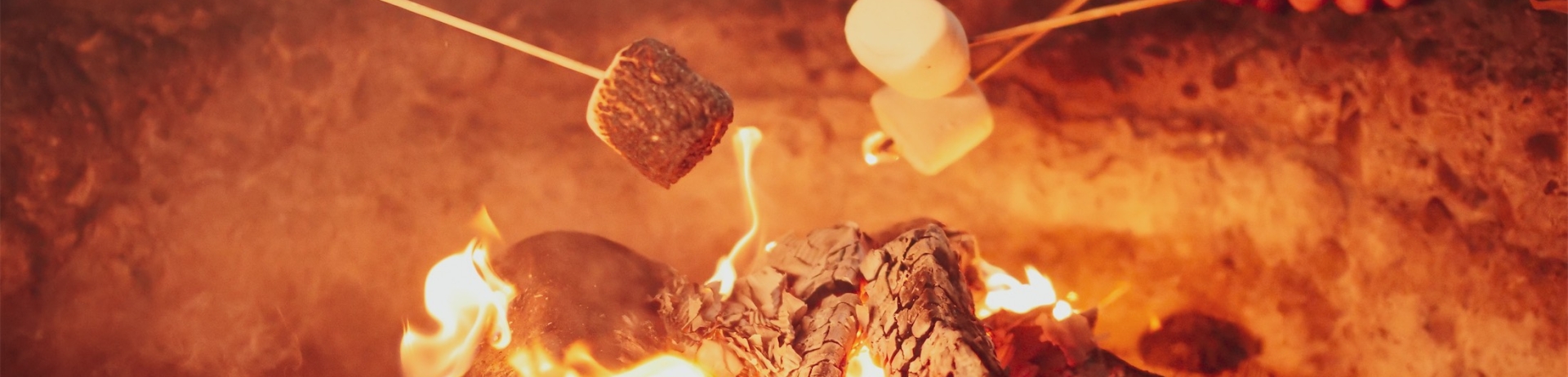 people roasting marshmallows over a fire