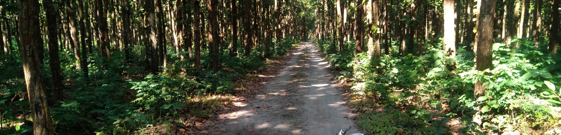 Sources joyeuses été