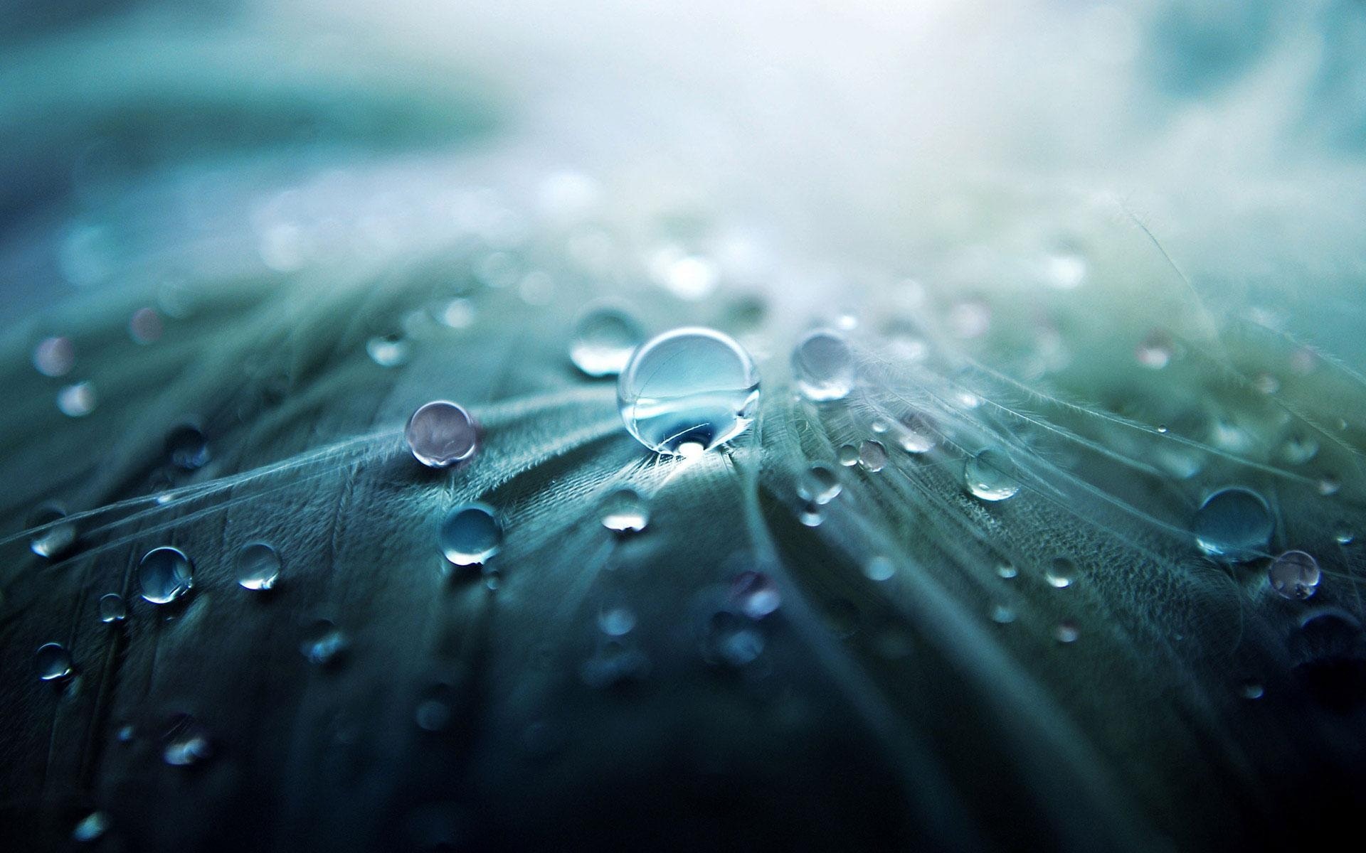Water, a crucial issue